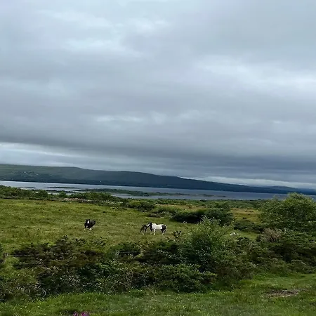 House 4* Кенмар