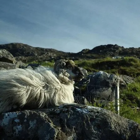 House Гостевой дом