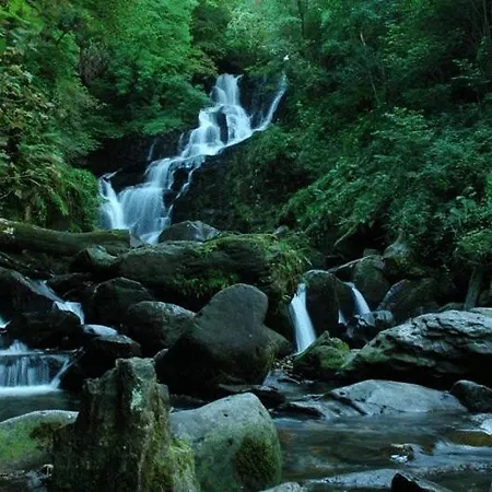 House Гостевой дом