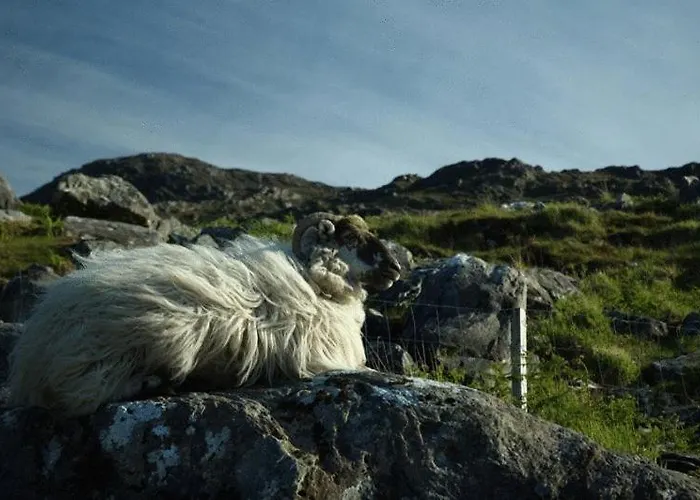 House 게스트하우스