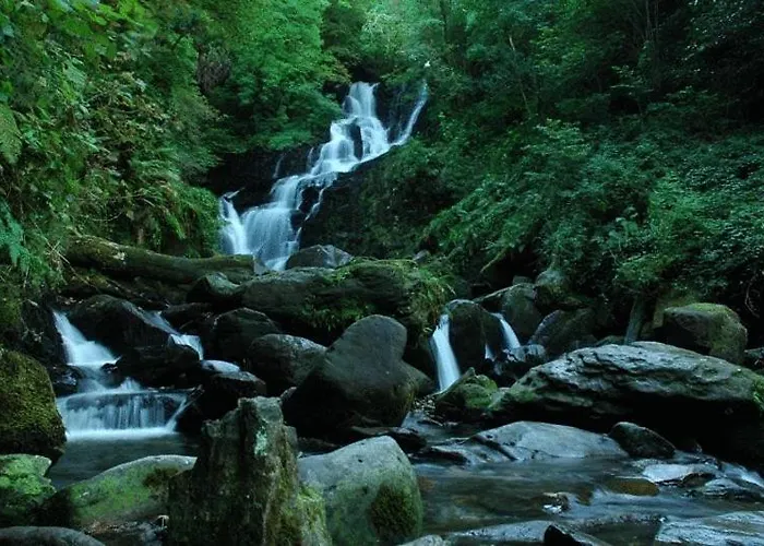 House 게스트하우스