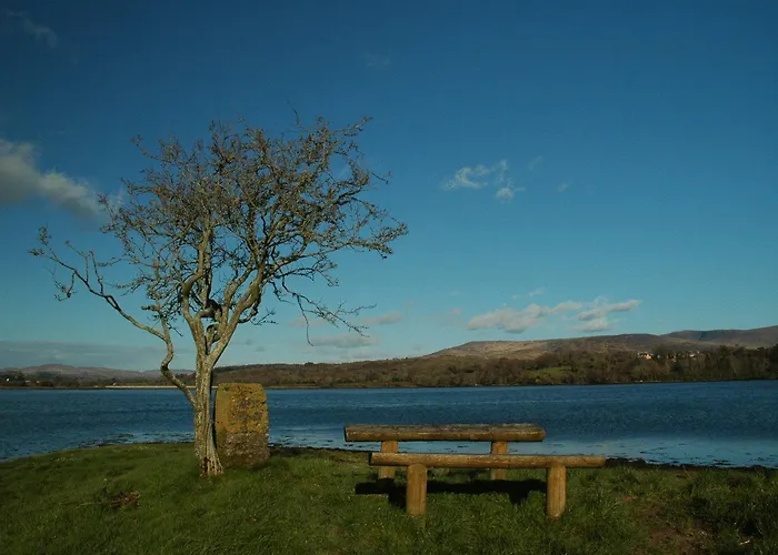 게스트하우스 House 4*