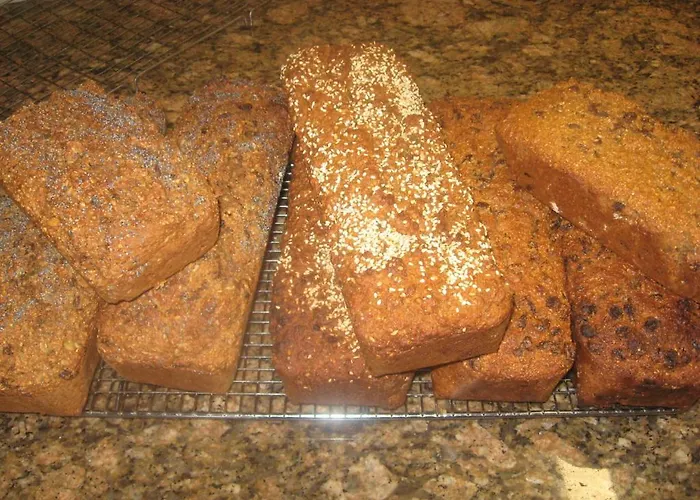 House 게스트하우스